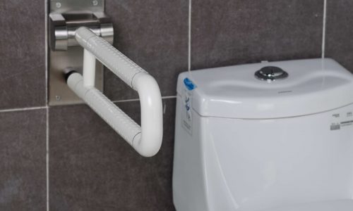 bathroom-toilet-grab-bars-pt-wy-01-1 bathroom-toilet-grab-bars-pt-wy-01-1
